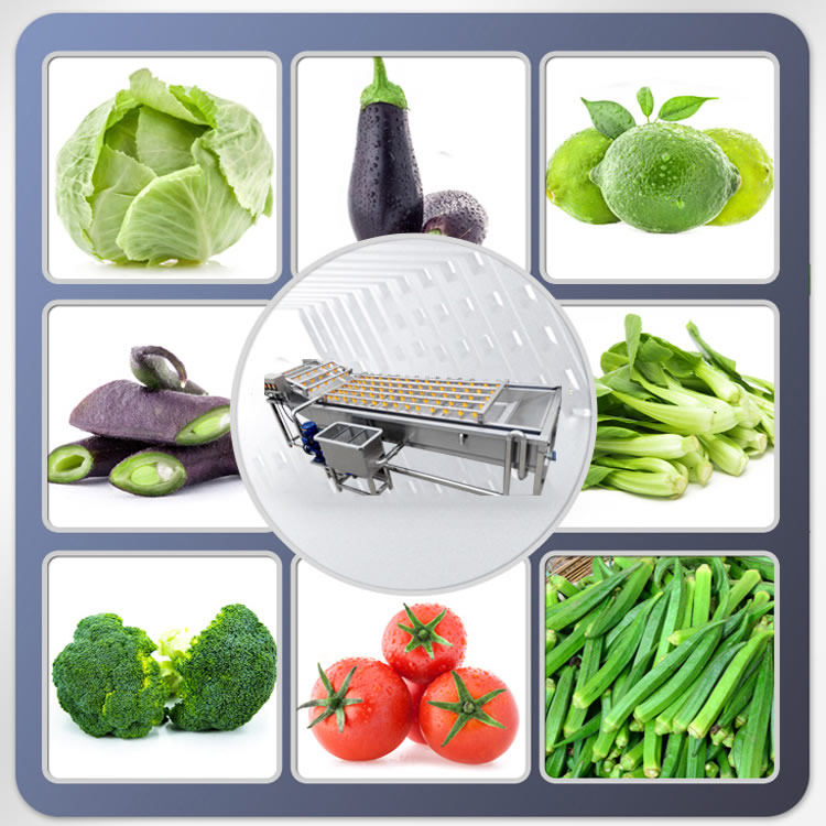 SUS304 Industrial Bubble Cleaning Fruit Avocado Mango Vegetable Potato Washing Machine Diced Root Vegetable Production Line